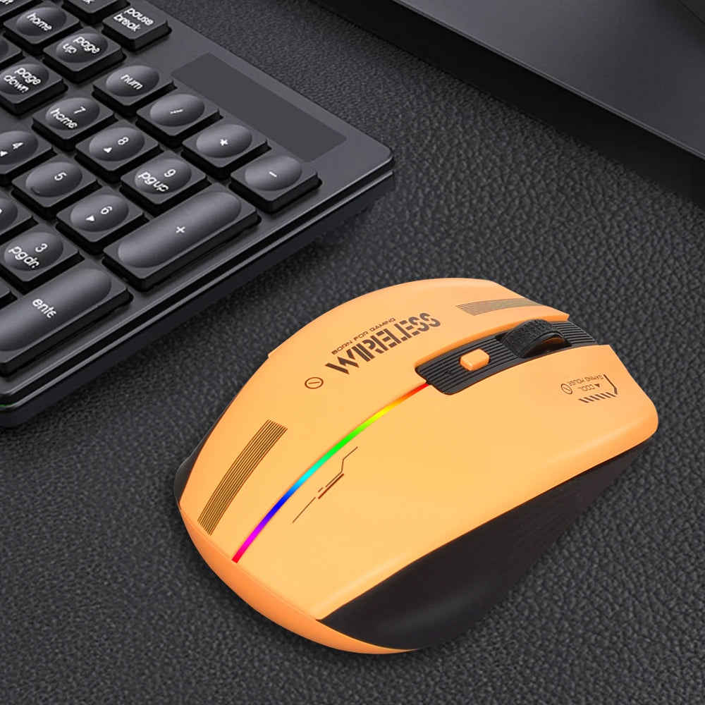 Ergonomic Rechargeable Gaming Mouse USB 2.4G Wireless RGB